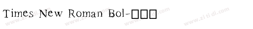 Times New Roman Bol字体转换